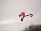 Albatros D.Va 25e